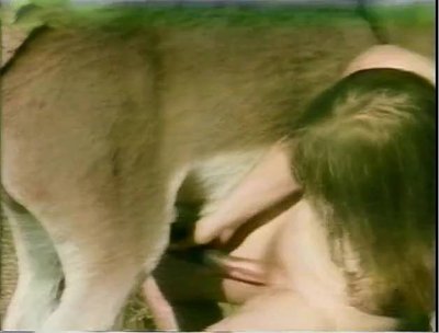 Осел трахает немку винтаж зоопорно